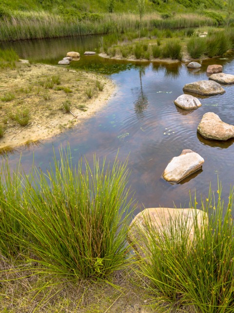 natuurspeeltuin Hoogerzael is een populaire bestemming tijdens de vakantie bij de maneblussertjes